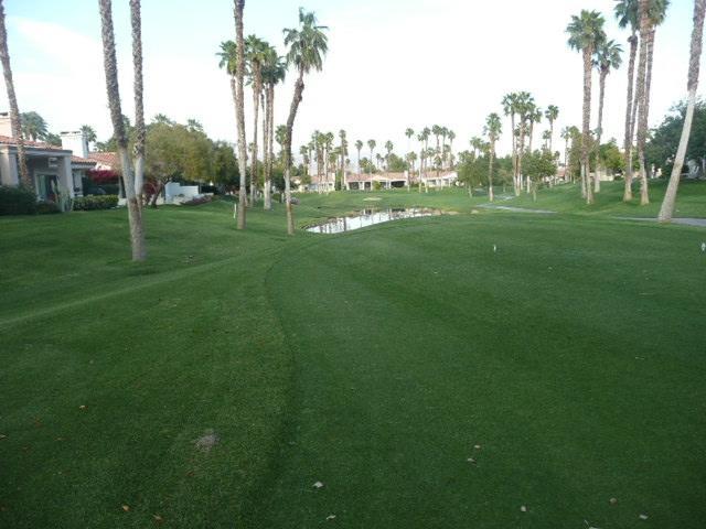 Palm Valley Cc Pickleball, Tennis, Gym, Clubhouse, Swimming Pools, Lux, Spac 2 Bdrms Den 2 Ba Palm Desert Exterior foto